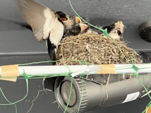 今年も半分が過ぎました